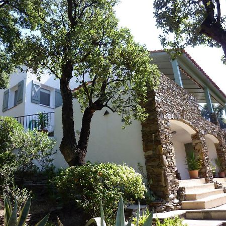 Les Mimosas Villa Collioure Exterior photo